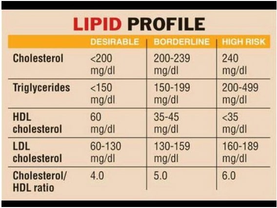 lipid-profile.jpg